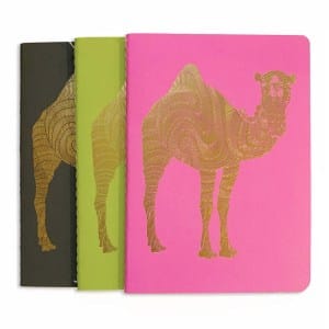 A6 Notebook Set